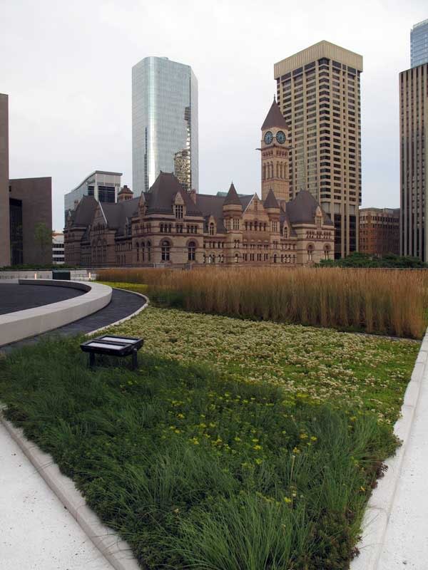 Toronto City Hall roof view